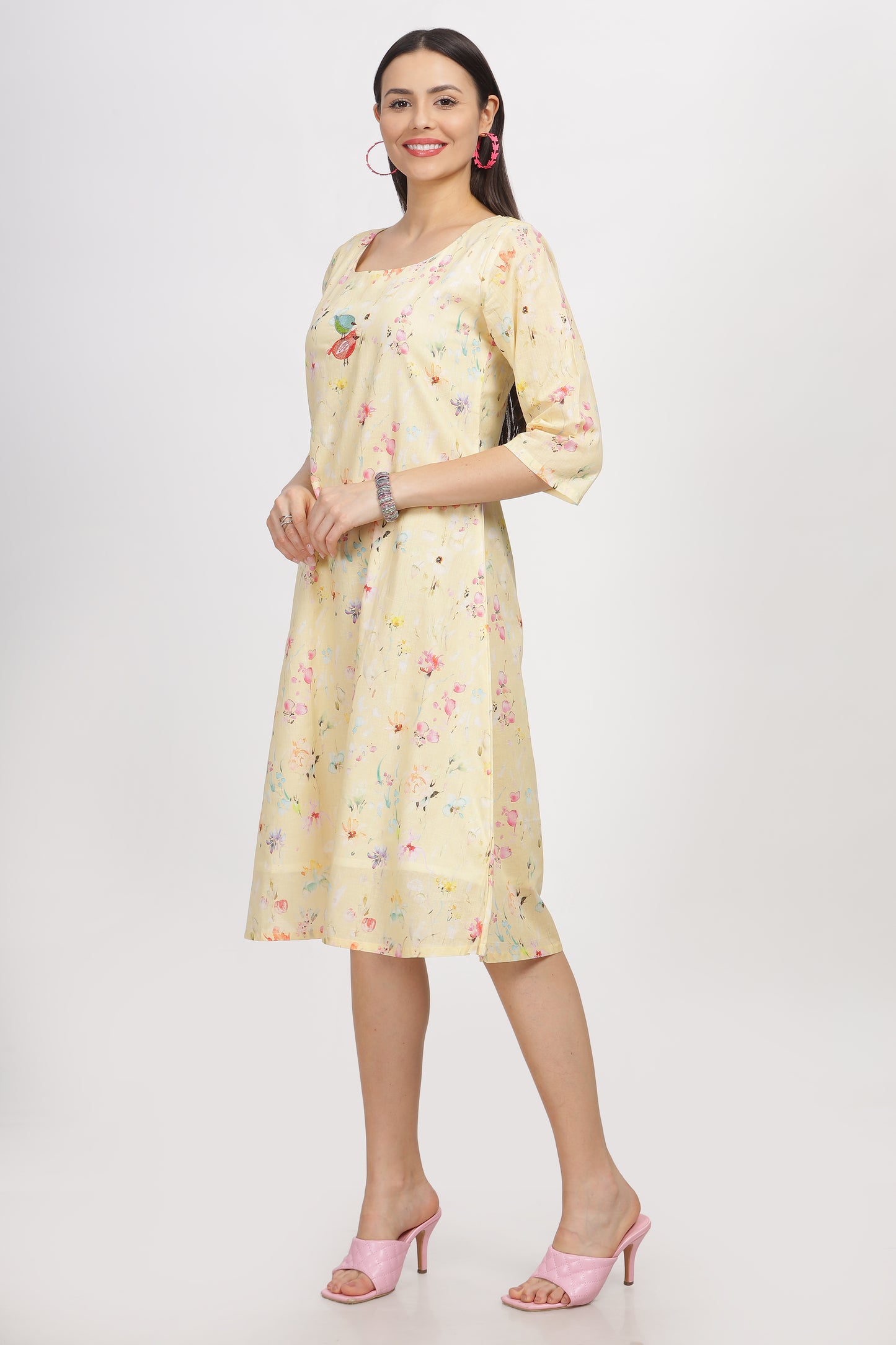 Sarita A line digital printed  linen dress with embroidery and lining